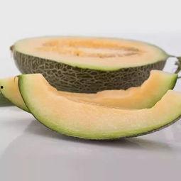 瓜地自采免费吃,免费畅享夏日清凉