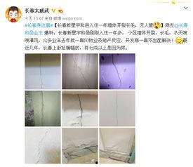 新星宇最新爆料,揭秘神秘项目背后的惊人真相